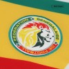 Men's Replica Senegal Home Soccer Jersey Shirt 2022/23 Puma - World Cup 2022 | Senegal