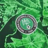 Men's Replica Nigeria Home Soccer Jersey Shirt 2022 Nike