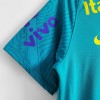 Men's Replica Brazil Training Soccer Jersey Shirt 2021 Nike