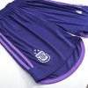 Men's World Cup Argentina Three Stars Champion Edition Away Soccer Shorts 2022 Adidas - World Cup 2022