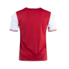 Men's Replica Austria Home Soccer Jersey Shirt 2020/21 Puma