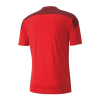 Men's Replica Switzerland Home Soccer Jersey Shirt 2021 Puma