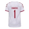 Men's Replica SCHMEICHEL #1 Denmark Away Soccer Jersey Shirt 2021 Hummel
