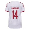 Men's Replica DAMSGAARD #14 Denmark Away Soccer Jersey Shirt 2021 Hummel
