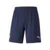 Men's Italy Soccer Shorts 2021 Puma