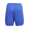 Men's World Cup France Away Soccer Shorts 2022 Nike - World Cup 2022